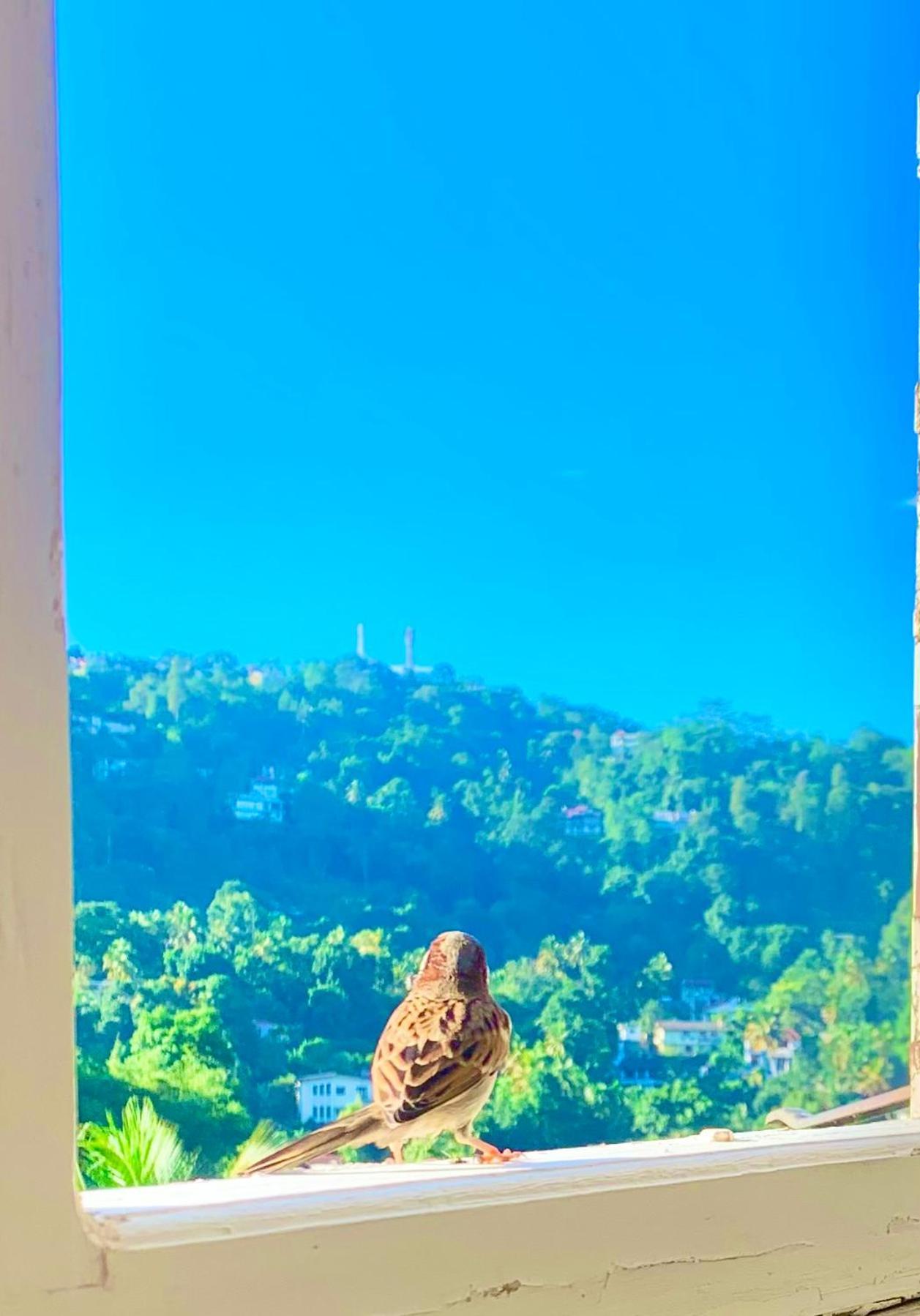 Gangula Villa Kandy Esterno foto